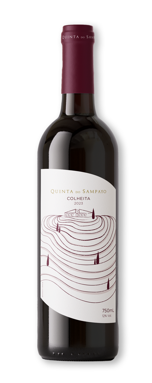 Quinta do Sampayo Vinho Branco 2023