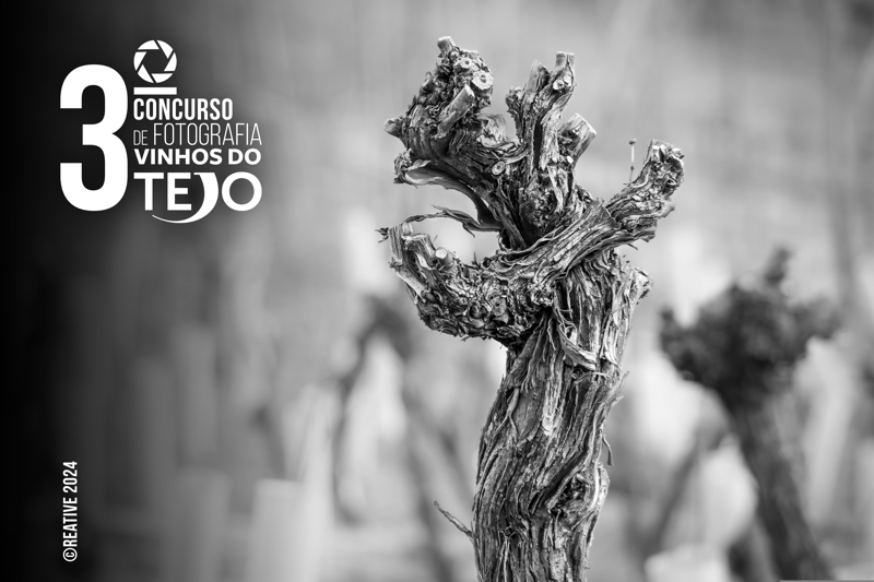 Vinhos do Tejo abrem inscrições para 3.º Concurso de Fotografia 