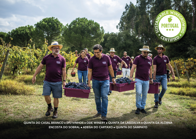 Vinhos do Tejo destacam-se com oito produtores com selo Sustainable Winegrowing Portugal 