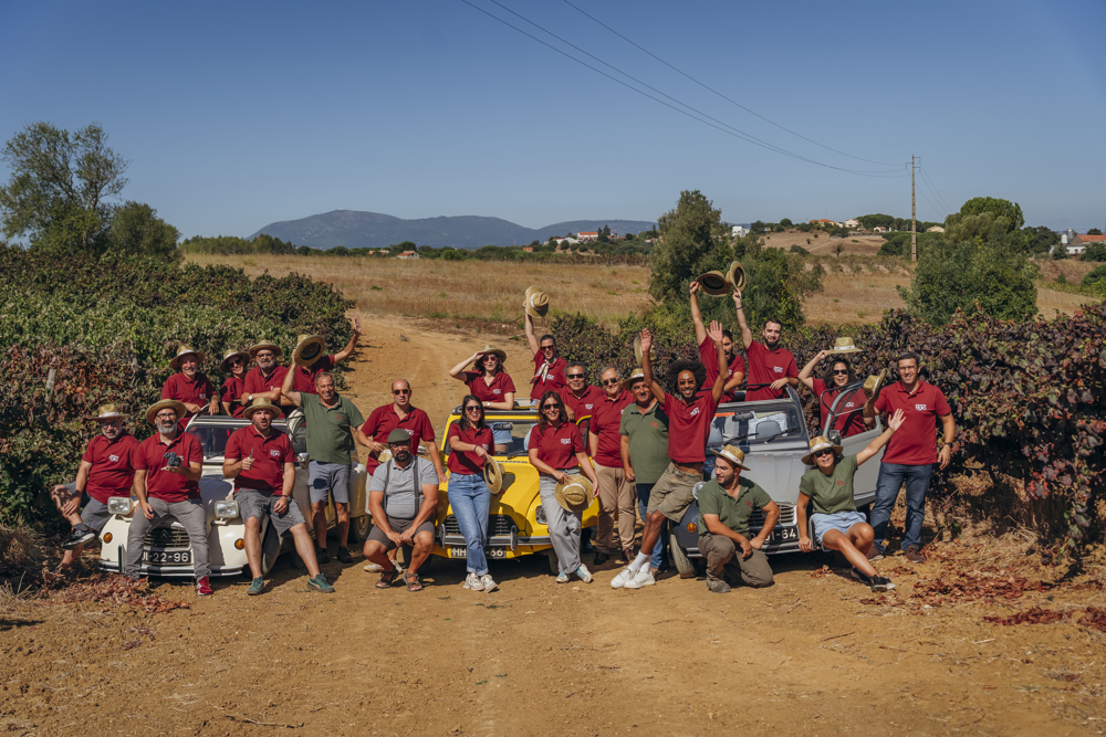 Vinhos Francos abriram portas para programa de vindimas e prova didática de Castelão do Tejo