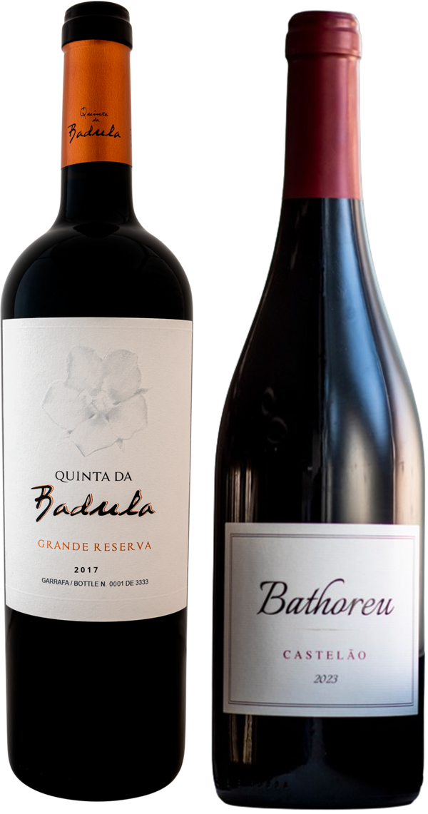 PACK MELHORES TINTOS