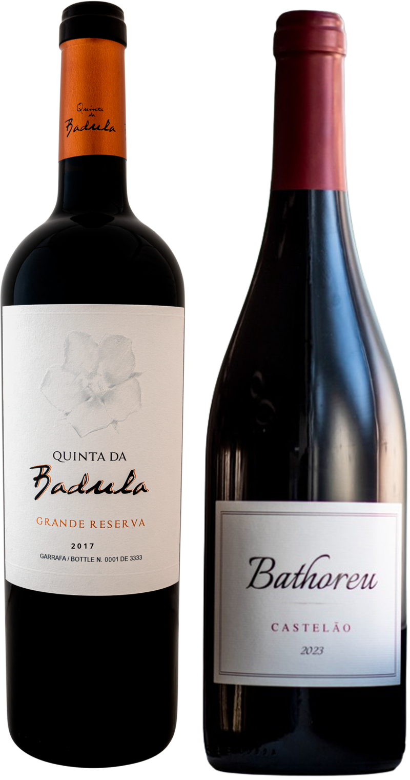 PACK MELHORES TINTOS