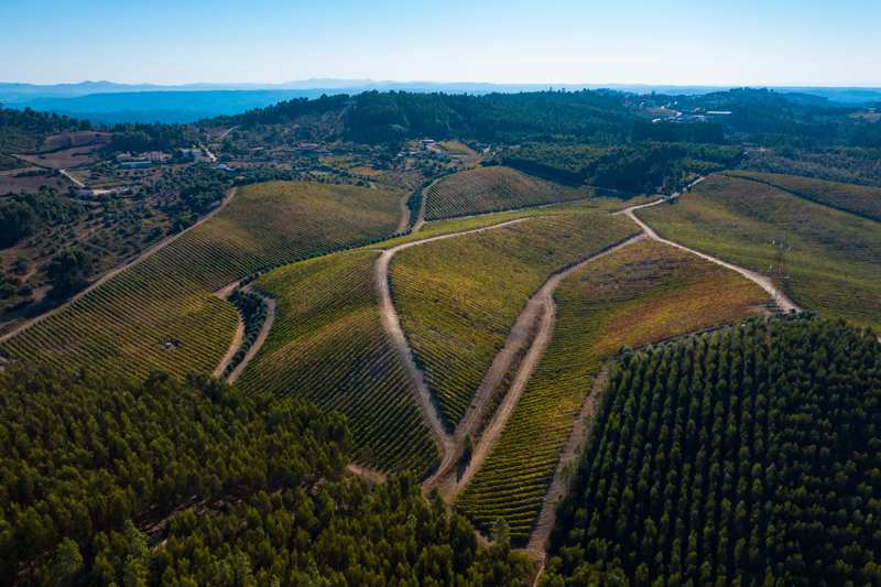 “Serras” é novo terroir da região dos Vinhos do Tejo