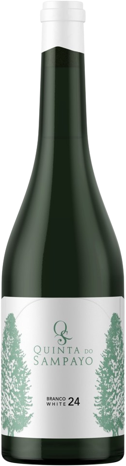 Quinta do Sampayo Colheita Branco 2024
