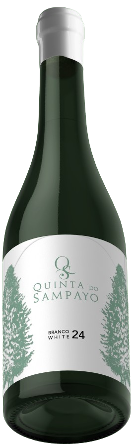 Quinta do Sampayo Colheita Branco 2024